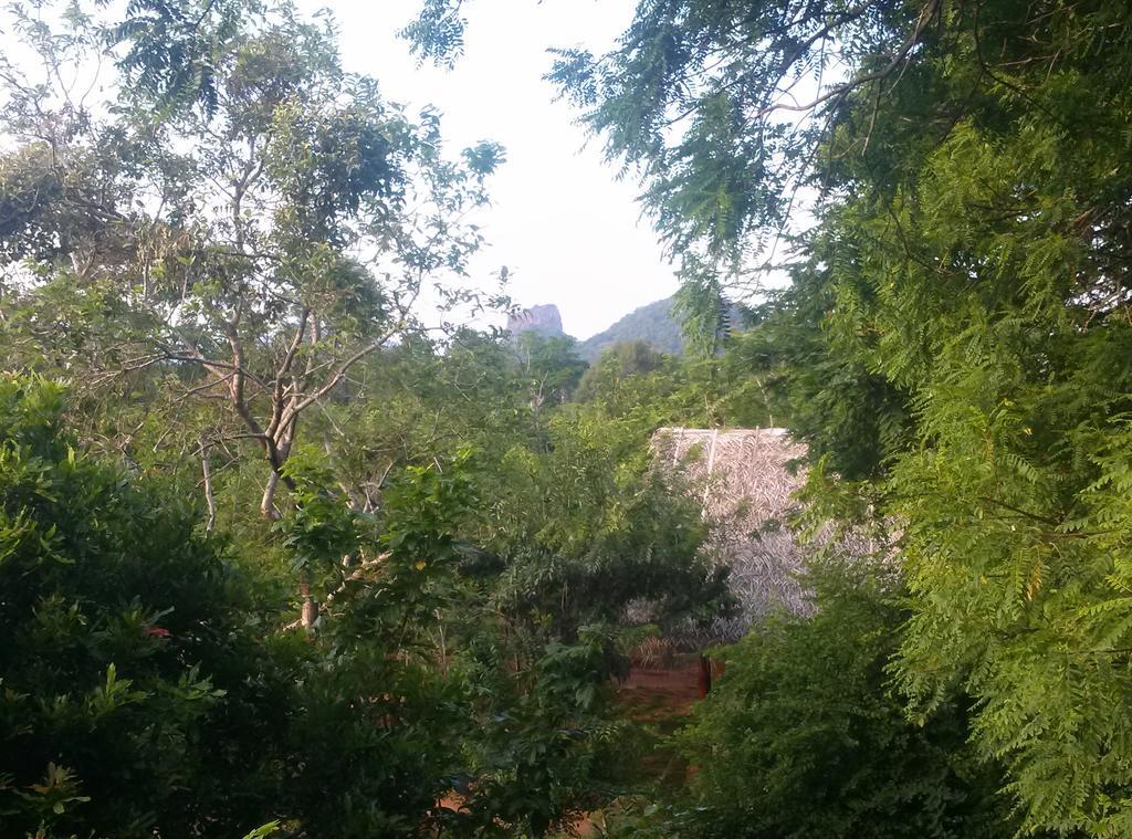 Kuwera Eco Lodge Sigiriya Esterno foto
