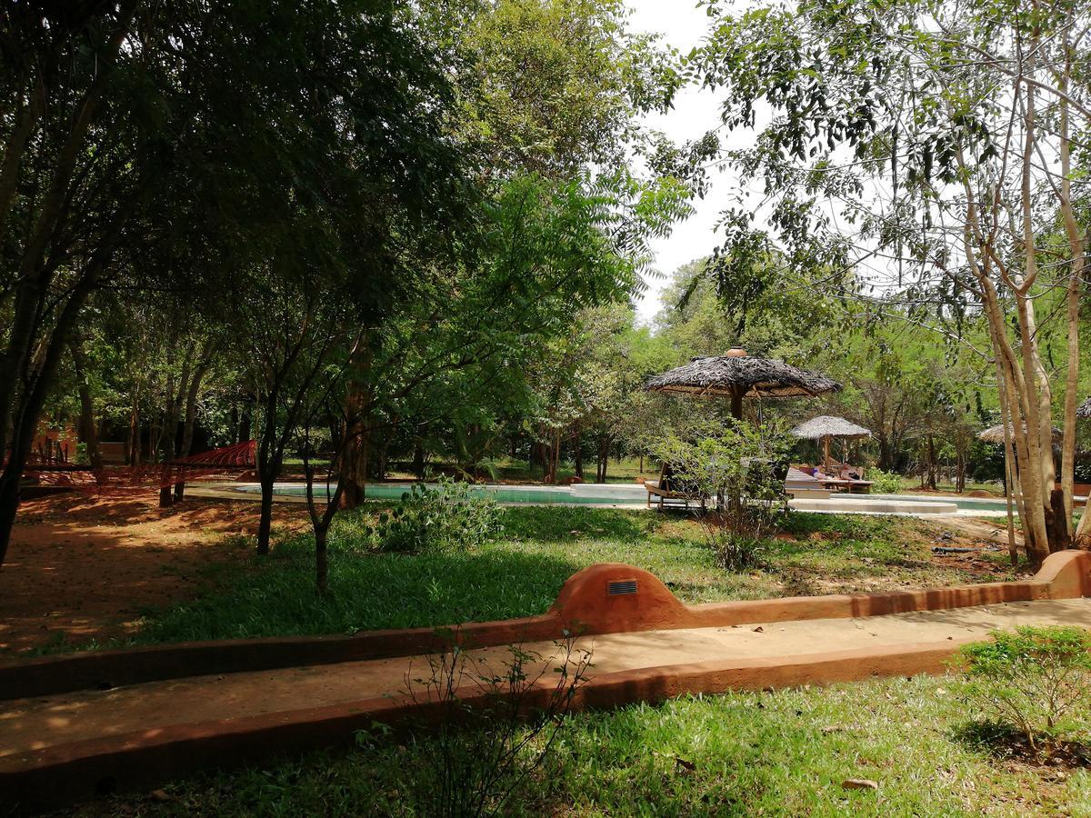 Kuwera Eco Lodge Sigiriya Esterno foto