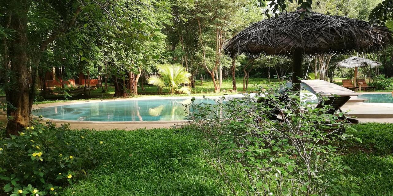 Kuwera Eco Lodge Sigiriya Esterno foto