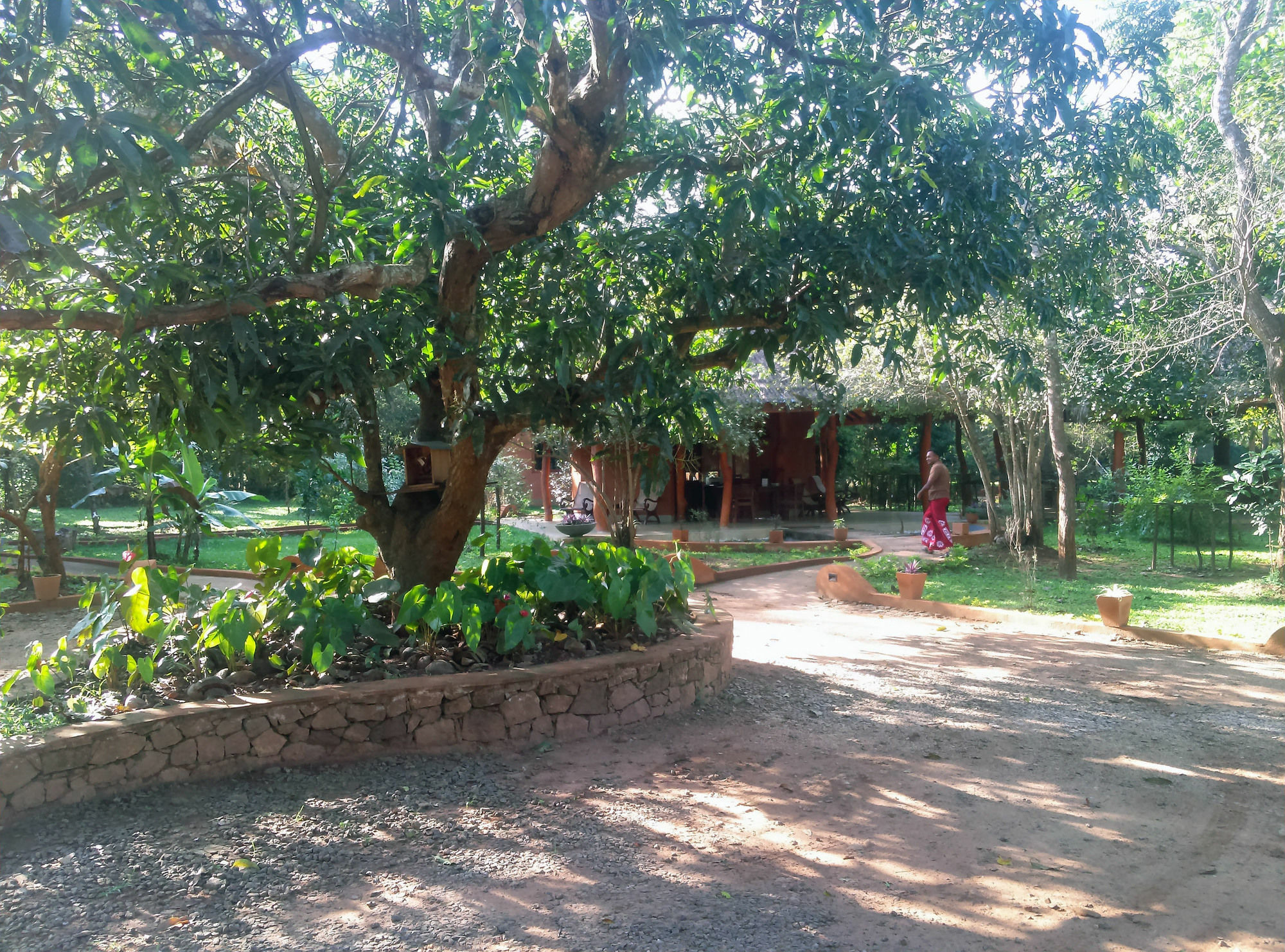 Kuwera Eco Lodge Sigiriya Esterno foto